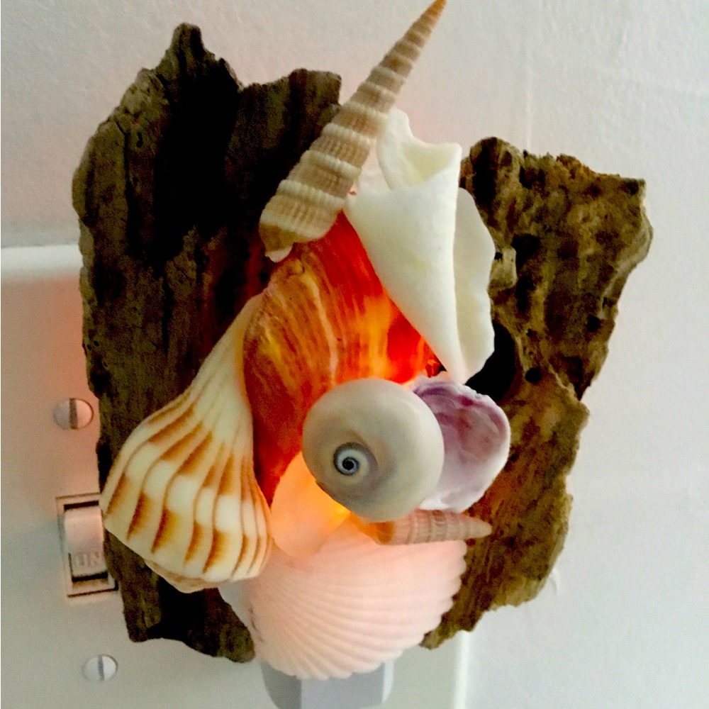 Driftwood Nightlight seashells and coastal decor beach wood